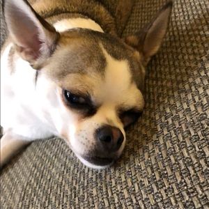 Meet your Posher, James